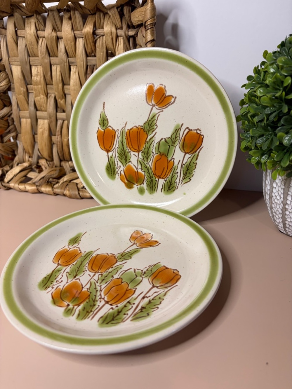 Vintage Floral Stoneware Plates Set Green Rim Orange Flowers Cottagecore